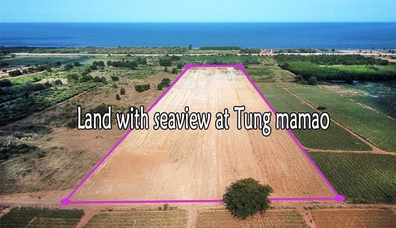 Land 30 rai with seeview at 500 M from beach for sale in Tung Mamao